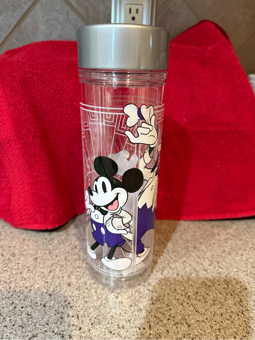 Disney parks Mickey Mouse and friends Disney 100 celebration water bottle.